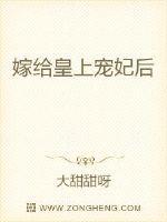 嫁给皇上宠妃后