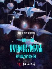 一明一暗：双胞胎姊妹的真实身份