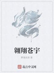 翱翔苍宇